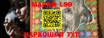 Альфа ПВП Гусев