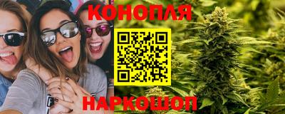 Альфа ПВП Гусев
