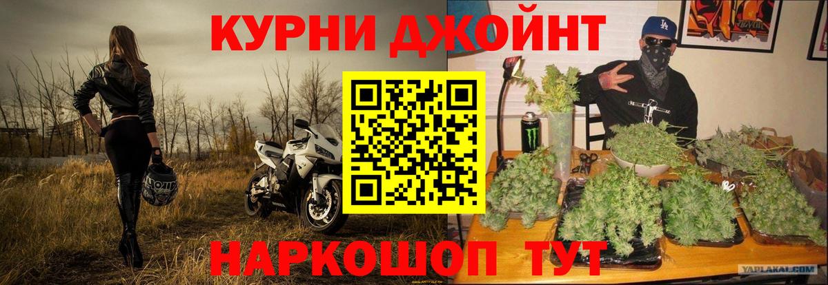 Каннабис сатива Кимовск